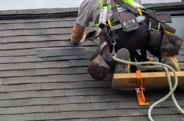 Professional  Roofing repair and installation in Sonoma State University, CA