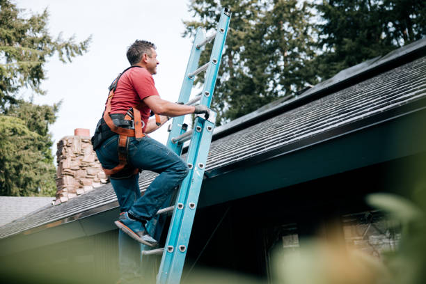 Best Roof Moss and Algae Removal  in Sonoma State University, CA